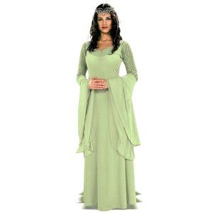 Arwen Elf Queen Costume + BONUS Tiara & Elf Ears!